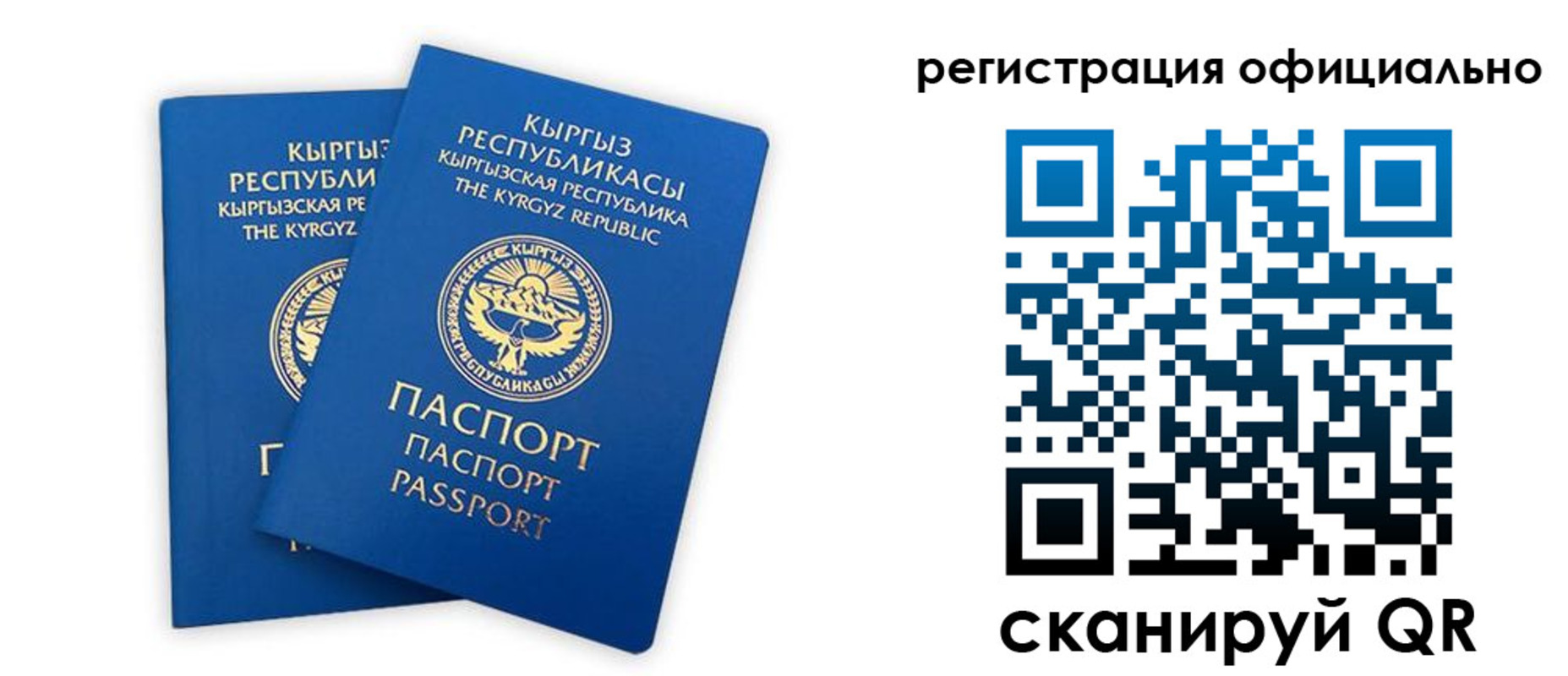 прописка поиск в Фролово